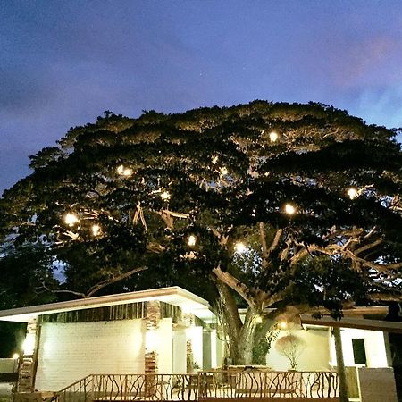 Serviced Apartamentos by Eco Hotel Bohol Panglao Exterior foto