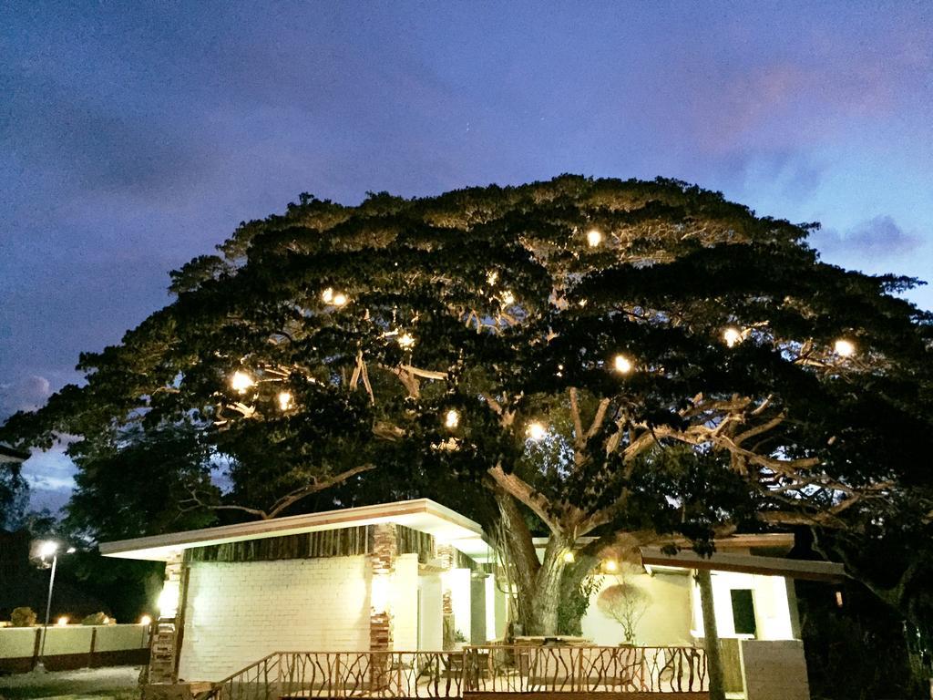 Serviced Apartamentos by Eco Hotel Bohol Panglao Exterior foto